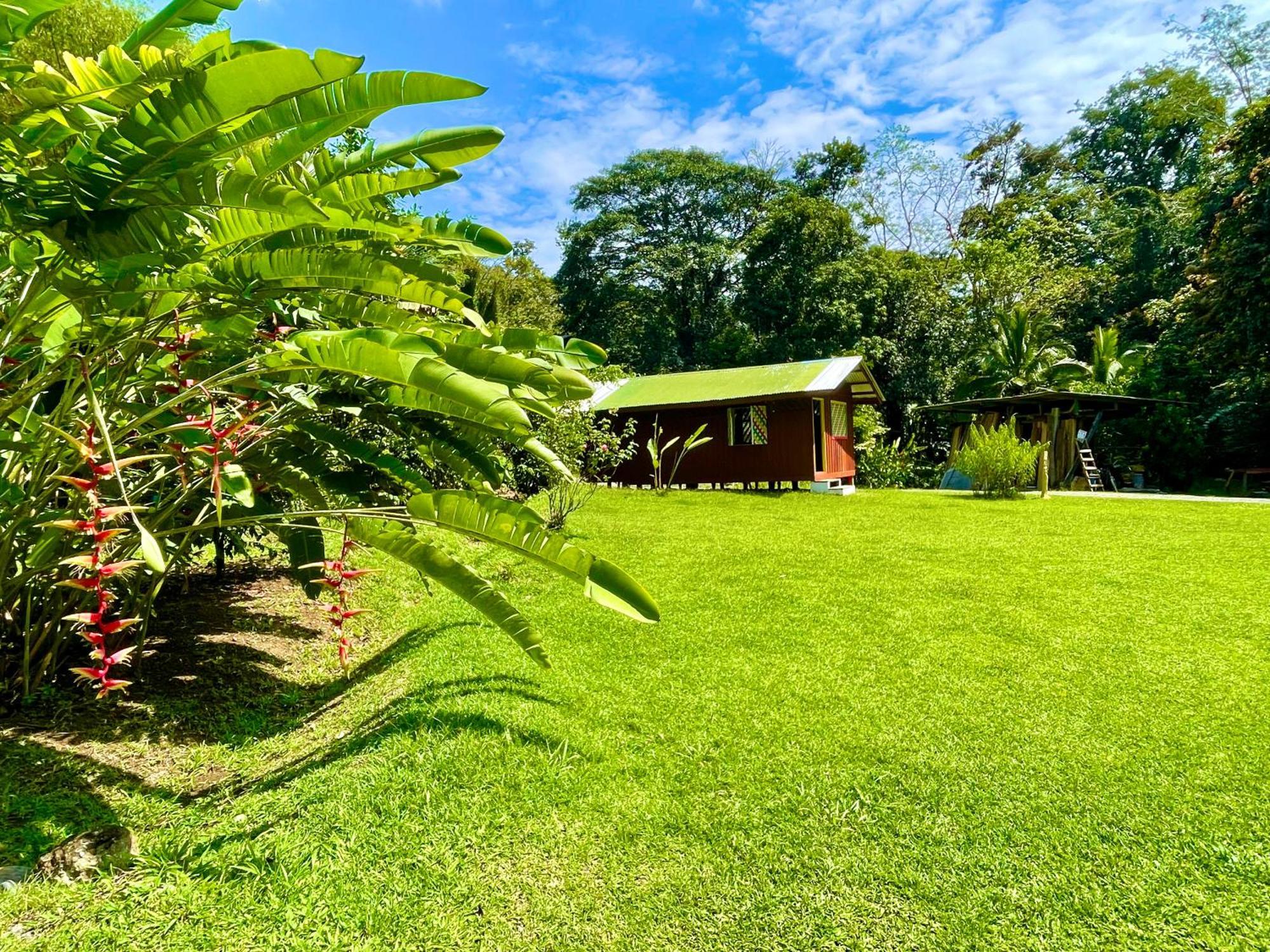 Alouatta Lodge And Canopy Cahuita Eksteriør bilde