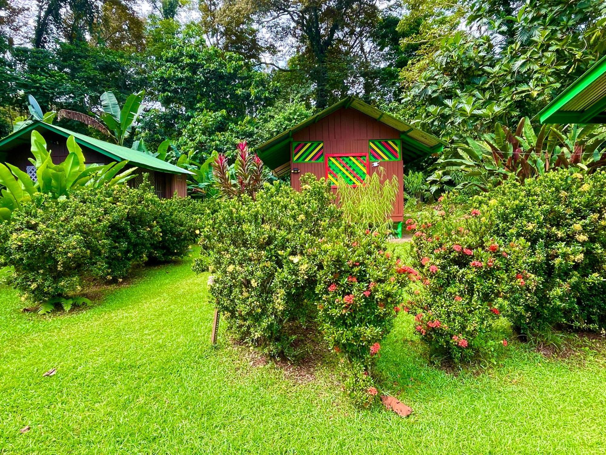 Alouatta Lodge And Canopy Cahuita Eksteriør bilde