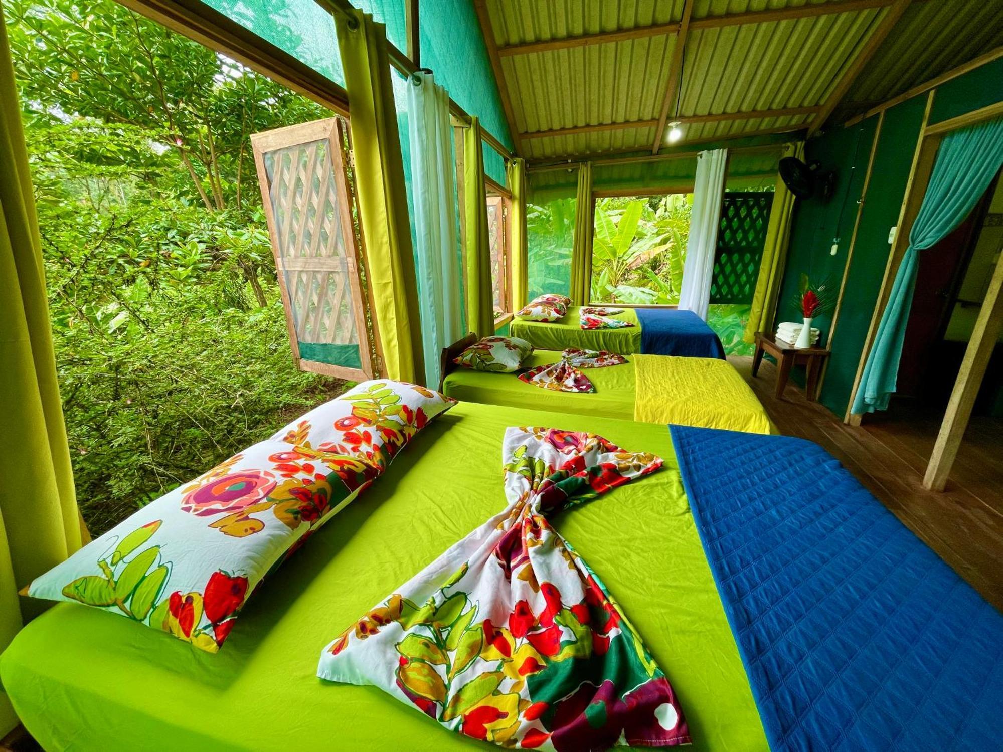 Alouatta Lodge And Canopy Cahuita Eksteriør bilde