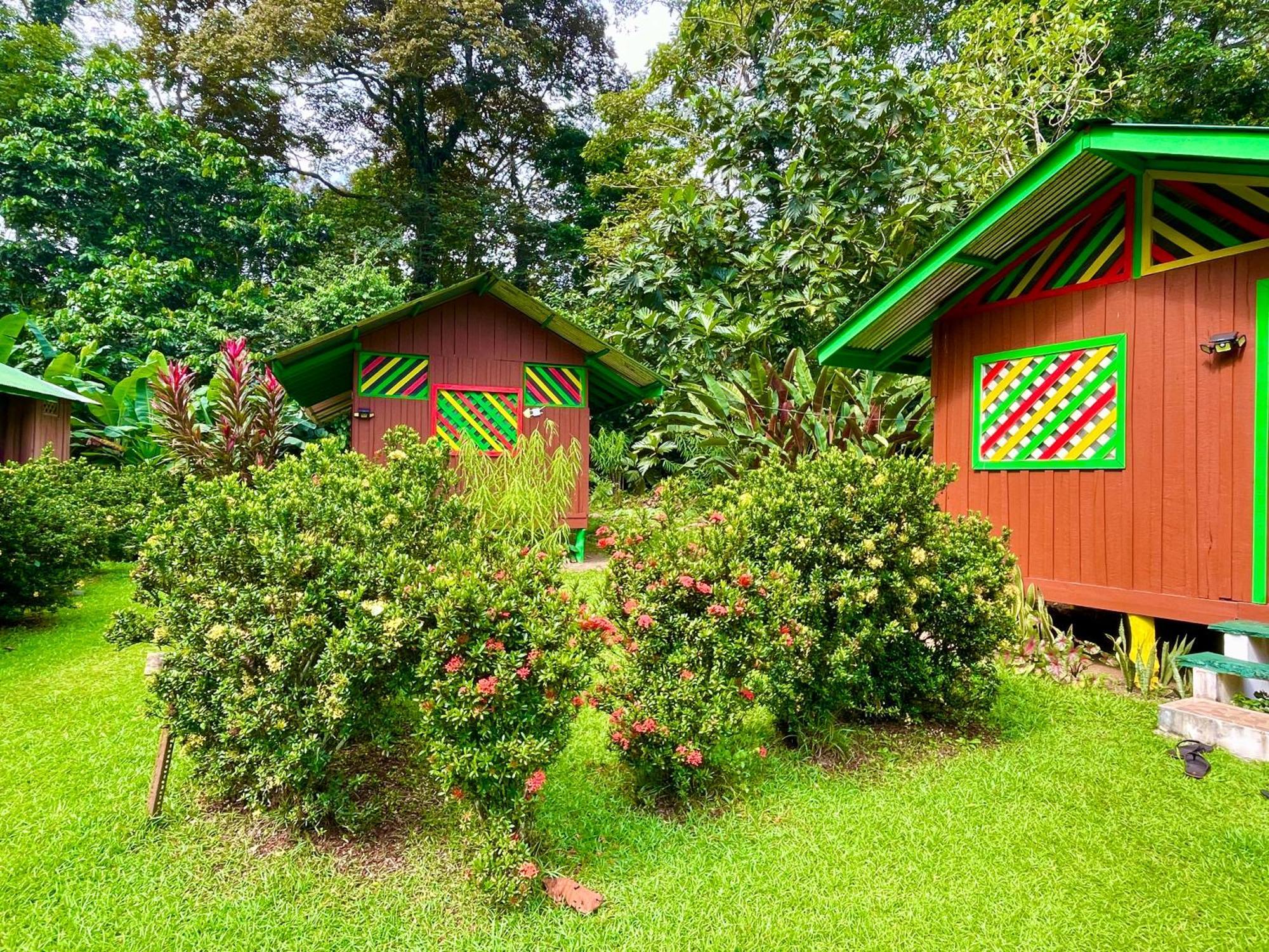 Alouatta Lodge And Canopy Cahuita Eksteriør bilde