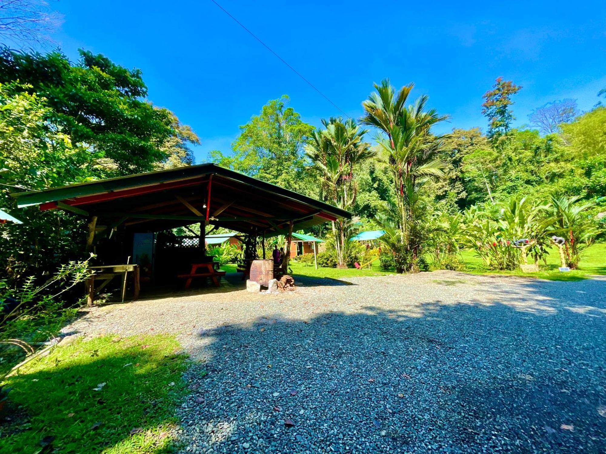 Alouatta Lodge And Canopy Cahuita Eksteriør bilde