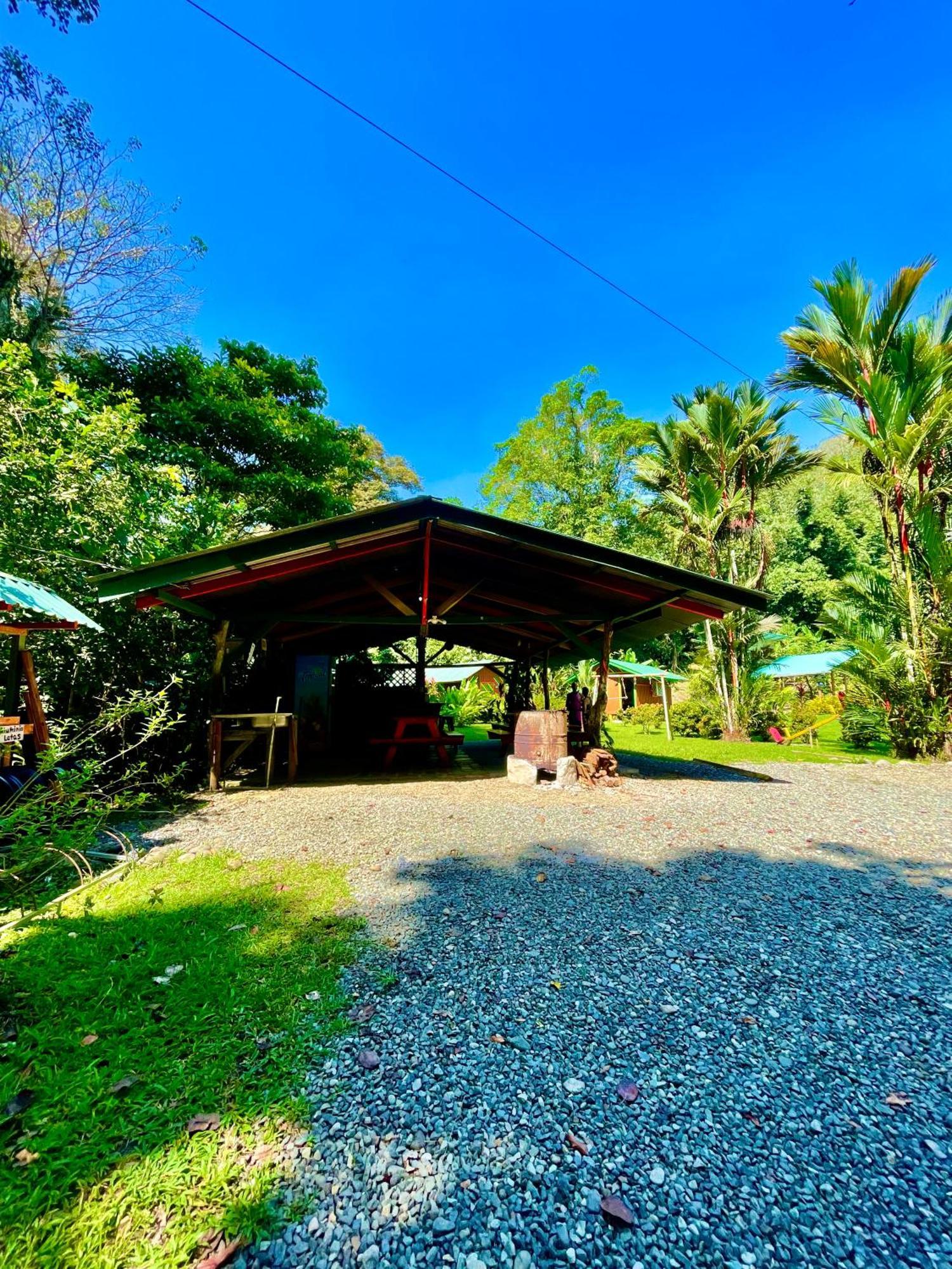 Alouatta Lodge And Canopy Cahuita Eksteriør bilde