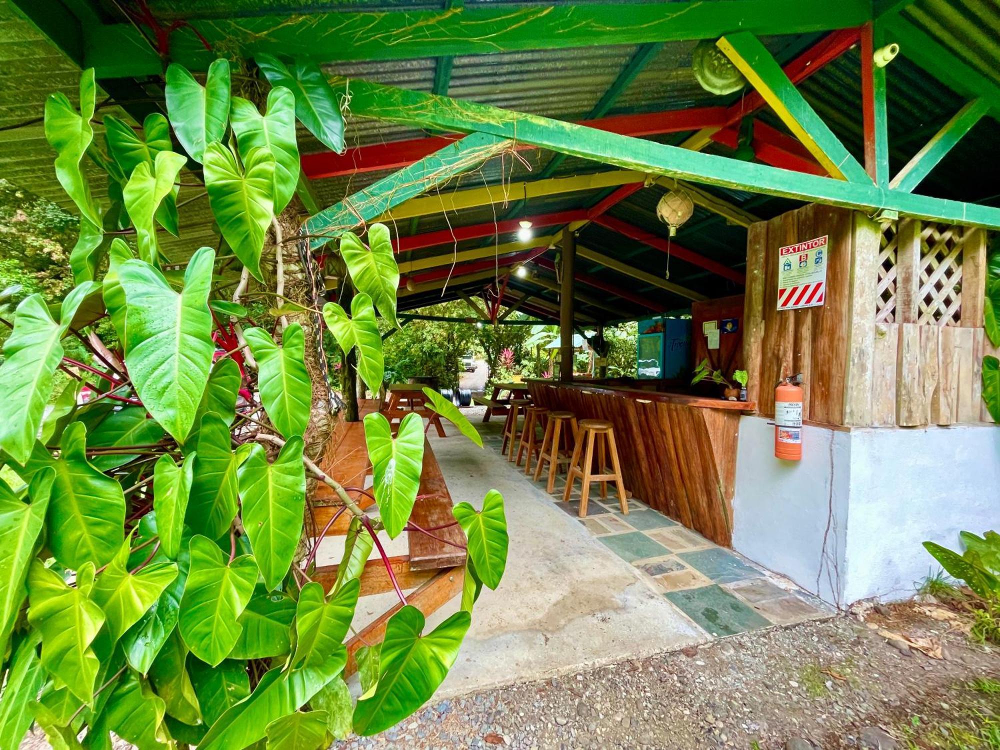 Alouatta Lodge And Canopy Cahuita Eksteriør bilde