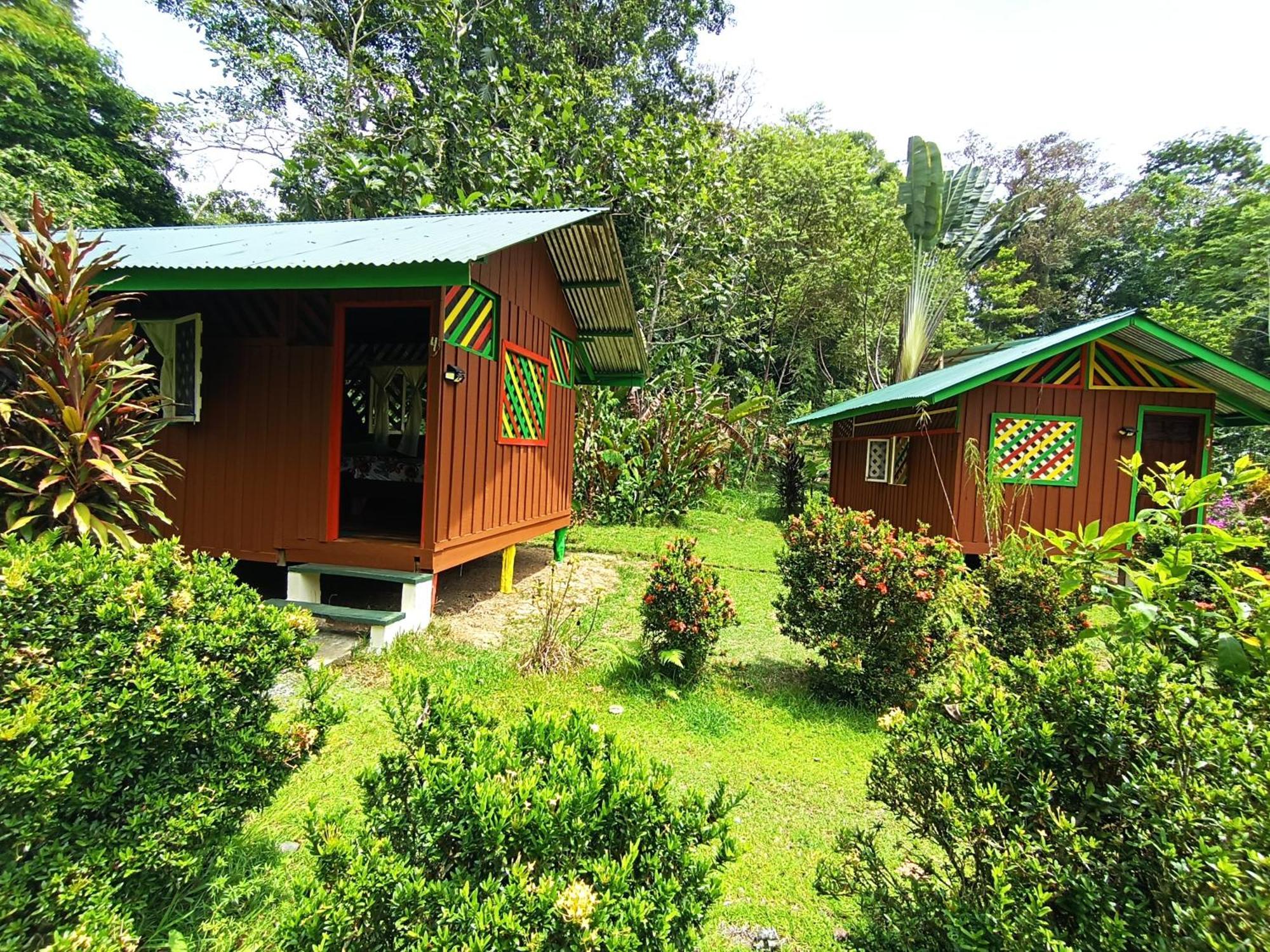 Alouatta Lodge And Canopy Cahuita Eksteriør bilde