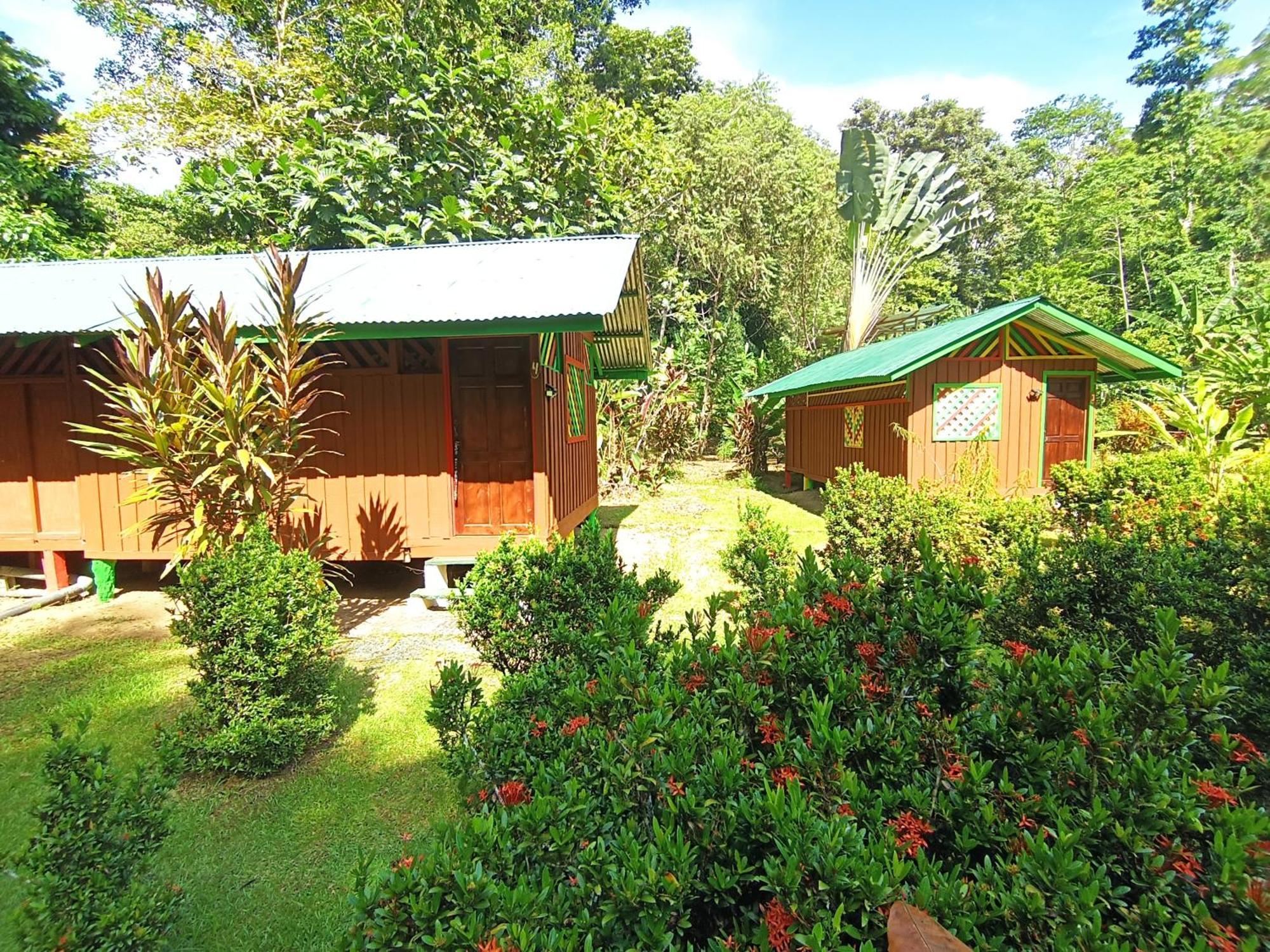 Alouatta Lodge And Canopy Cahuita Eksteriør bilde
